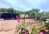 Chalet independiente con terreno en venta en la España, Ourense, ref: TR405848 foto