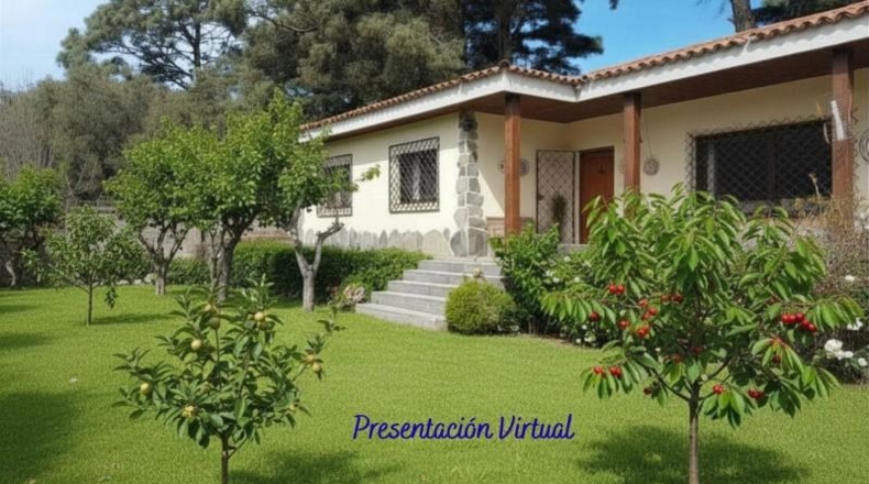 Santa Cruz de Tenerife - San Cristóbal de La Laguna - 1100m2