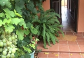 Casa de poble en venda a la España, La Línea de la Concepción, ref.: TR405858 foto