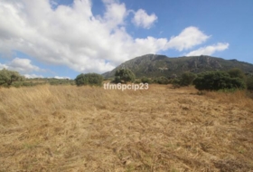 Casares 37570&nbsp;m² 