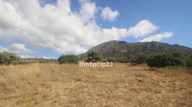 Малага - Касарес - 37570m2