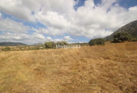 Casares 37570&nbsp;m² 