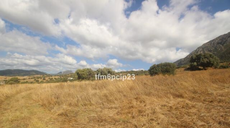 Малага - Касарес - 37570m2