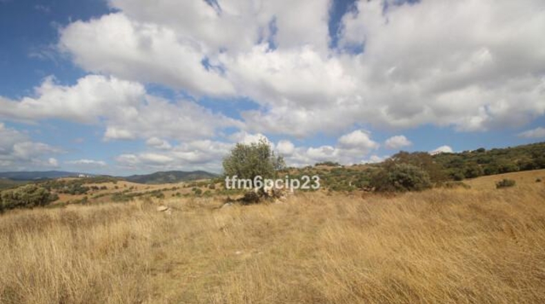 Малага - Касарес - 37570m2
