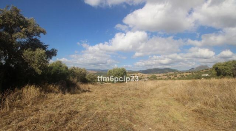 Малага - Касарес - 37570m2