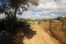 Casares 37570&nbsp;m² 