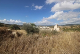 Casares 37570&nbsp;m² 