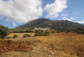 Casares 37570&nbsp;m² 