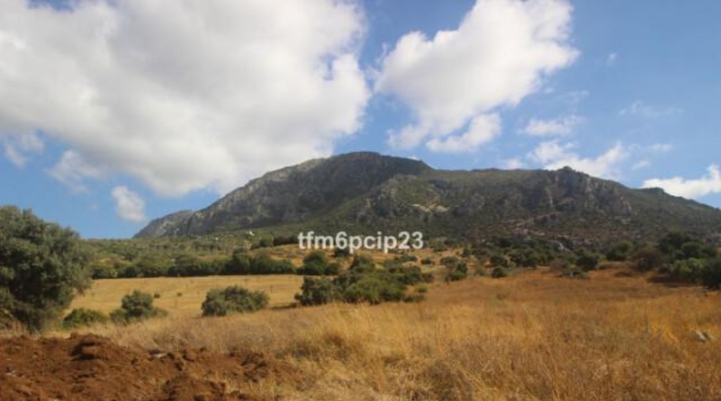 Малага - Касарес - 37570m2