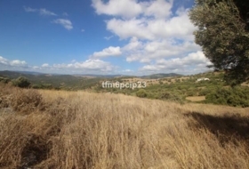Casares 37570&nbsp;m² 