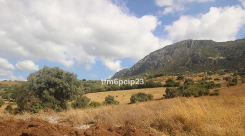 Малага - Касарес - 37570m2