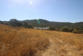 Casares 37570&nbsp;m² 