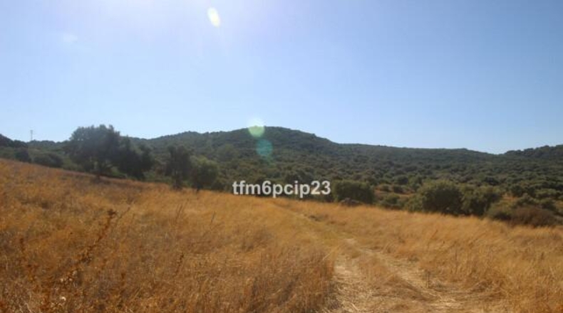 Малага - Касарес - 37570m2