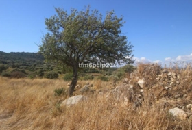 Casares 37570&nbsp;m² 