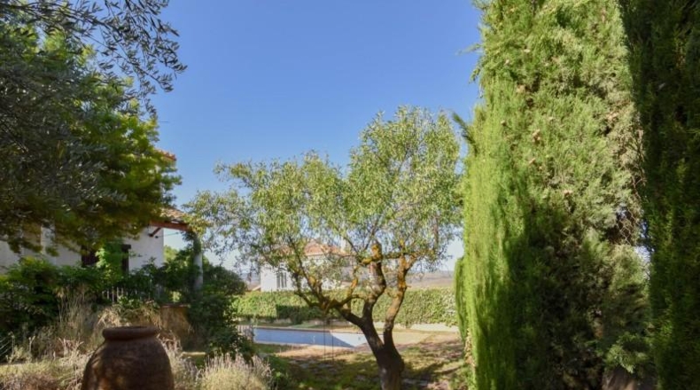 Granada - Padul - 626m2