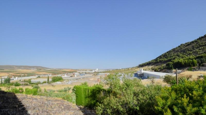 Granada - Padul - 626m2