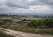 Terreny no urbanitzable en venda a la España, Albaida, ref.: TR327334 foto
