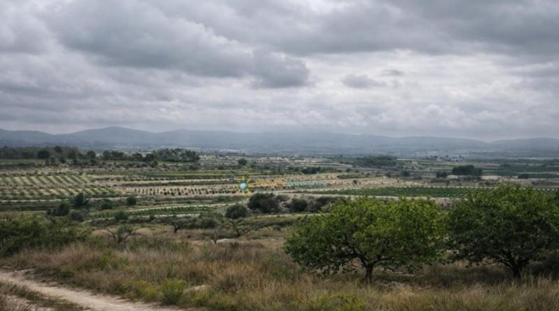 Valencia - Albaida - 241448m2