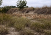 Terreny no urbanitzable en venda a la España, Albaida, ref.: TR327334 foto