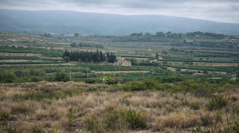 Valencia - Albaida - 241448m2