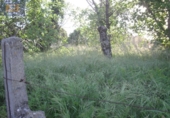 Finca rústica en venda a la España, Vigo, ref.: TR405876 foto