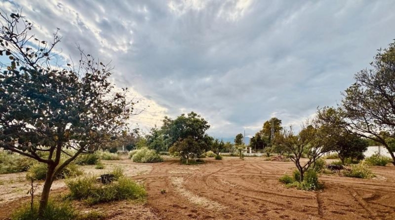 Málaga - Campo-Mijas - 3700m2