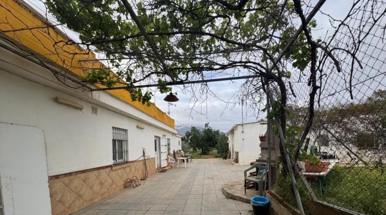 Málaga - Campo-Mijas - 3700m2