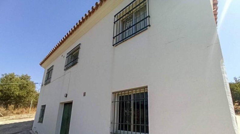 Málaga - Estepona - 2107m2