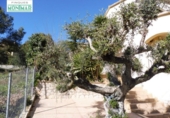 Casa de pueblo en venta en la España, Olivella, ref: TR302868 foto