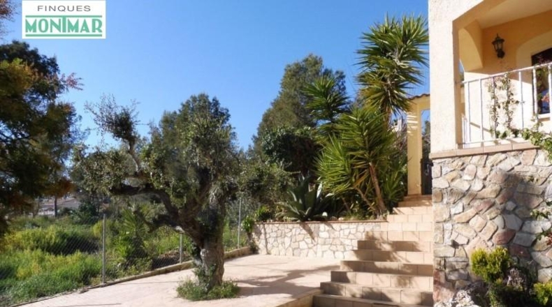 Barcelona - Olivella - 597m2