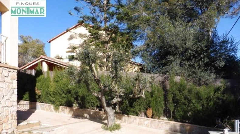 Barcelona - Olivella - 597m2