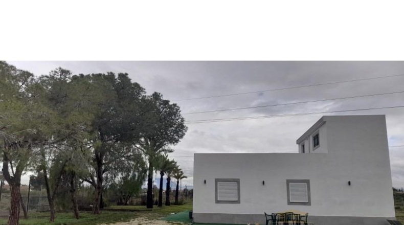 Alicante - San Vicente del Raspeig - 267m2