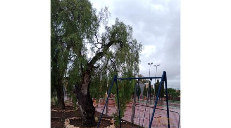 Alicante - San Vicente del Raspeig - 267m2