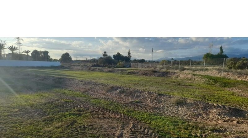 Alicante - San Vicente del Raspeig - 267m2