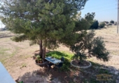 Xalet independent amb terreny en venda a la España, Sant Vicent del Raspeig, ref.: TR405897 foto