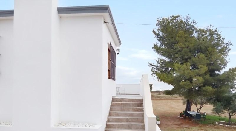 Alicante - San Vicente del Raspeig - 267m2