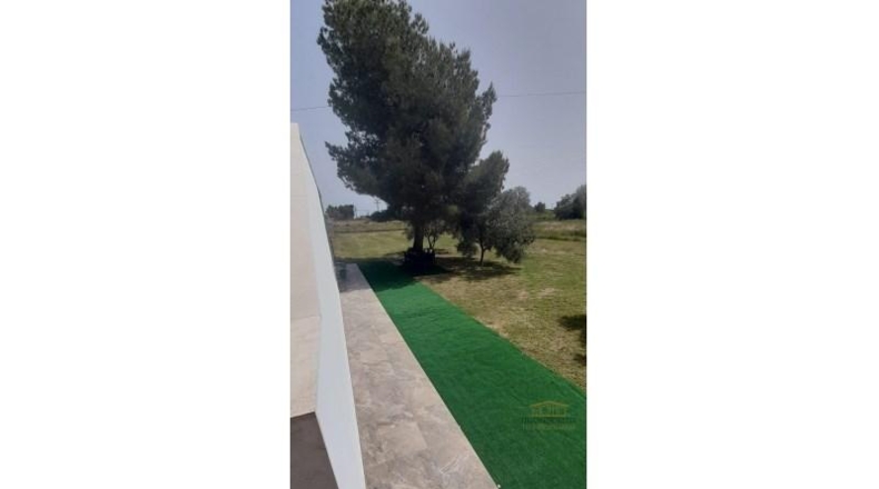 Alicante - San Vicente del Raspeig - 267m2