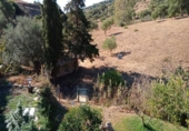 Xalet independent amb terreny en venda a la España, Casares, ref.: TR335607 foto