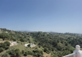 Detached villa with land for sale on Camino de los Reales, Estepona, ref: TR233355 photo