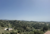 Detached villa with land for sale on Camino de los Reales, Estepona, ref: TR233355 photo