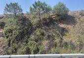 Detached villa with land for sale on Camino de los Reales, Estepona, ref: TR233355 photo