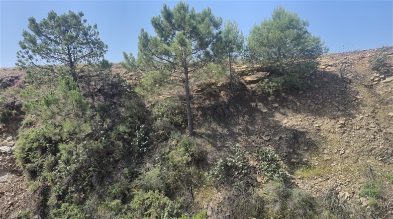 Málaga - Algatocín - 210000m2