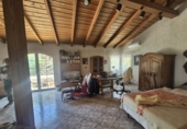 Detached villa with land for sale on Camino de los Reales, Estepona, ref: TR233355 photo