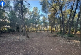 Roquetes 15000&nbsp;м²