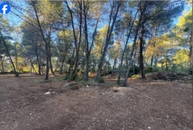 Roquetes 15000&nbsp;м²