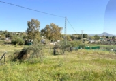 Non-developable land for sale in Cártama ref: TR403138 photo