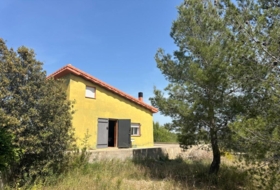 Foto 1