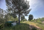 Masia amb terreny en venda a Aldover ref.: TR404966 foto