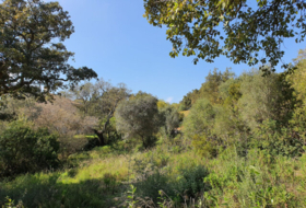 San Roque 2100&nbsp;м²