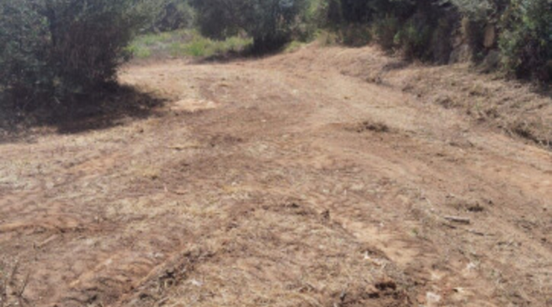 Cádiz - San Roque - 1m2